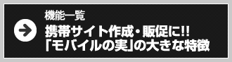 機能一覧　携帯サイト作成･販促に!!「モバイルの実」の大きな特徴
